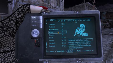 nsfw fallout mods|Forno and VKs Sexy Vault Girl Interface